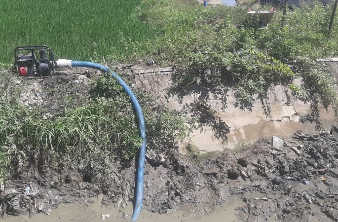 Petani Simpang Tiga Desak Pemkab Aceh Besar Tangani Dampak Kemarau Panjang 
