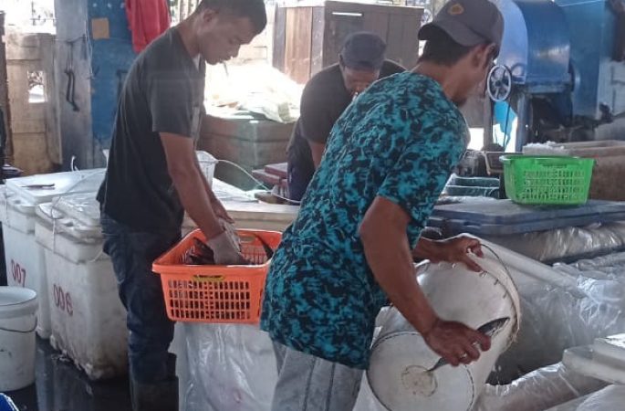 Cuaca Buruk Picu Harga Ikan Karang Naik di Banda Aceh