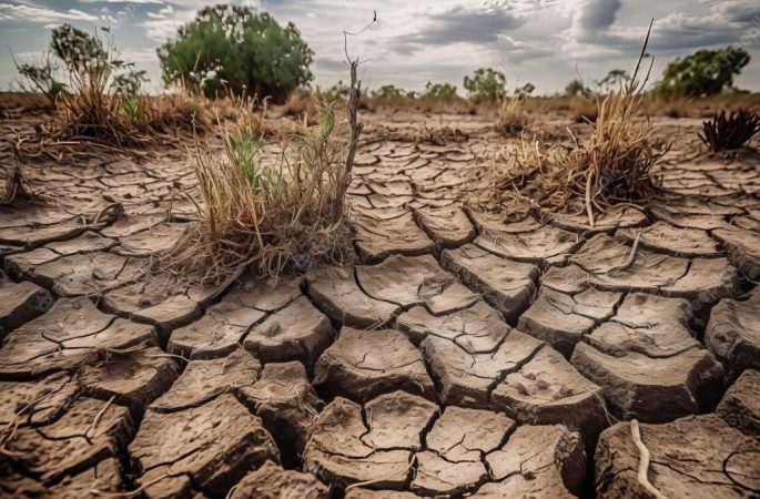 BMKG Sebut 60 Persen Wilayah Indonesia Masuk Musim Kemarau hingga Agustus 2024