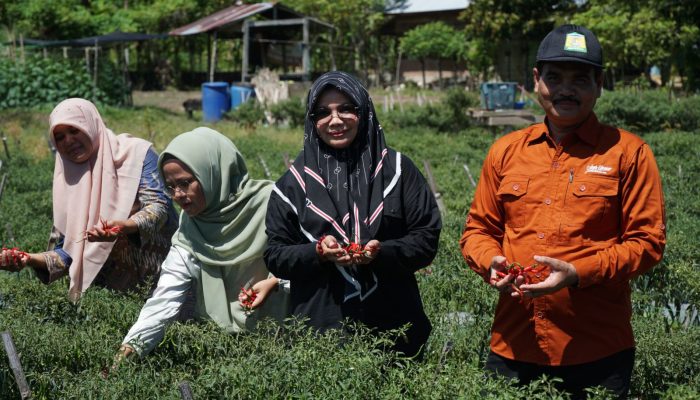 Distan Aceh Besar Gencar Tekan Laju inflasi Daerah