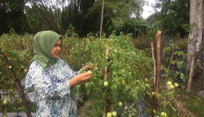Peringatan HTN ke-63, Solidaritas Perempuan Aceh Soroti Krisis Iklim di Lhoknga