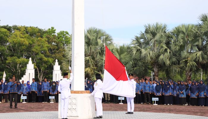 Pj Bupati Aceh Besar Irup Hardikda ke-65 Tahun 2024