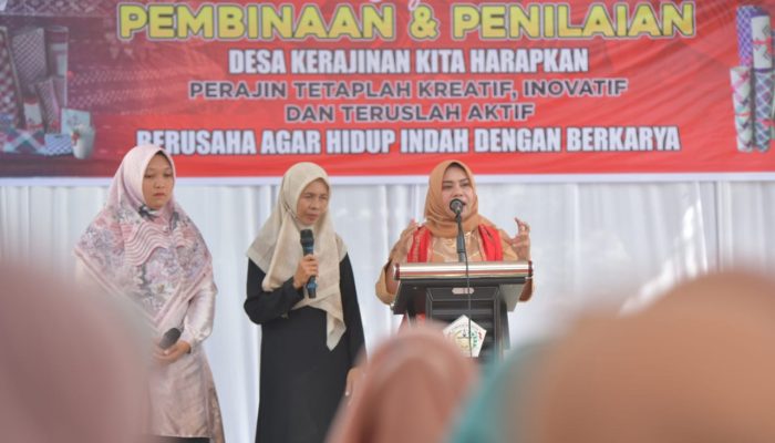 Pj Ketua Dekranasda Aceh Minta Pemko Lhokseumawe Bantu Pasarkan Produk Perajin Anyaman di Medsos