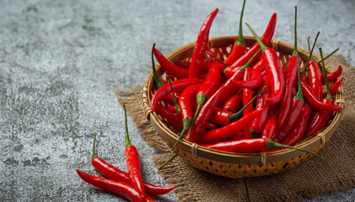 Stok Cabai Nasional “Oversupply”, Bapanas Siapkan Mobilisasi Pangan agar Harga Terjaga