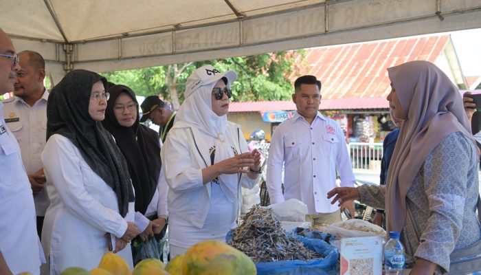 Pj Ketua PKK Aceh Dorong Pemanfaatan Produk Lokal dan Usaha Kecil
