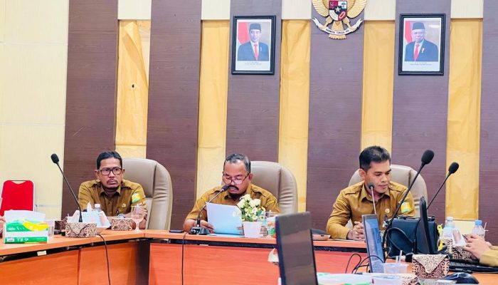 Pemkab Aceh Besar Susun Peta Bisnis Perangkat Daerah