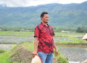 Wakil Ketua DPRK Aceh Besar Imbau Petani Perhatikan Waktu Penaburan Benih dan Pupuk Demi Panen Optimal