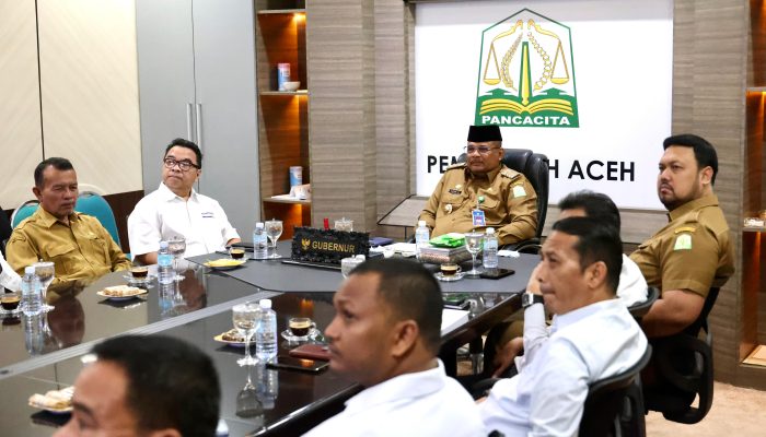 Pj Gubernur Aceh Ikuti Rakor Pengendalian Inflasi Daerah Bersama Mendagri