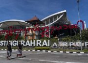 Ratusan Ekor Burung Pipit Mati Disambar Petir di Bandara Gusti Ngurah Rai Bali