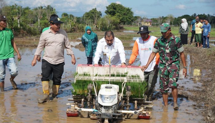 Dukung Modernisasi Pertanian, Pj Bupati Tanam Padi dengan Rice Transplanter di Gampong Bueng