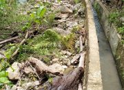 Masyarakat Petani di Kemukiman Tanoh Abee Harapkan Bantuan Pemkab Aceh Besar