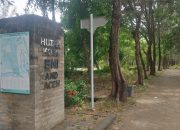 Menyusuri Indahnya Pariwisata Alam di Hutan Kota, Ini Potretnya