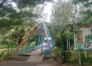 Area Hutan Kota Harus Segera Dibenahi Kembali