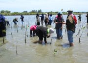 Metalik FEB USK Peringati HUT ke-36 dengan Aksi Penanaman Mangrove