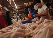 Gara-Gara Harga Daging Ayam Mahal, Warga Lebih Pilih Beli Kepala dan Ceker