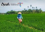 Mawah sebagai Ikatan Sosial dalam Kebudayaan Aceh