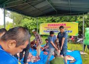 Gampong Sinyeu Bagikan Daging Meugang Sambut Ramadan, Pererat Kebersamaan dan Kepedulian Sosial