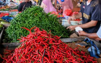 Pedagang Cabai dan Ketupat Lebaran di Pasar Induk Lam Baro
