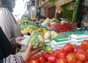 Harga Aneka Sayuran Bervariasi di Banda Aceh, Mencukupi Kebutuhan