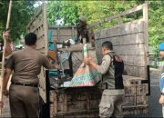 Jualan Tempat Terlarang, Belasan Lapak PKL di Kawasan Masjid Raya Baiturrahman Disita Satpol PP