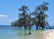 Pantai Pasir Putih Lamreh Aceh Besar Perlu Promosi Berkelanjutan