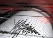 Breaking News! Gempa M 7,4 Guncang Jepang, Muncul Peringatan Tsunami