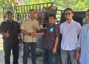 PT ANTAM Serahkan 4 Ekor Sapi Qurban untuk Masyarakat Aceh