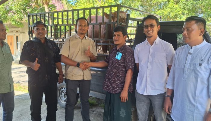 PT ANTAM Serahkan 4 Ekor Sapi Qurban untuk Masyarakat Aceh