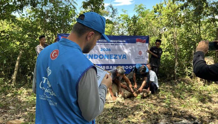 Dayah Irsyadul Abidin Fasilitasi Penyembelihan 100 Ekor Sapi Kurban untuk Masyarakat Aceh
