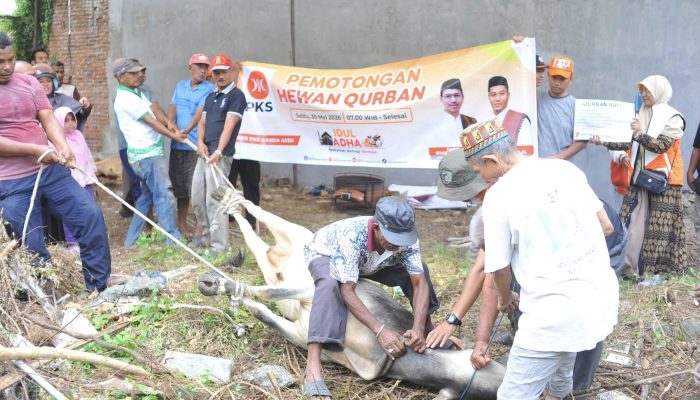 PKS Banda Aceh Sembelih Delapan Hewan Qurban