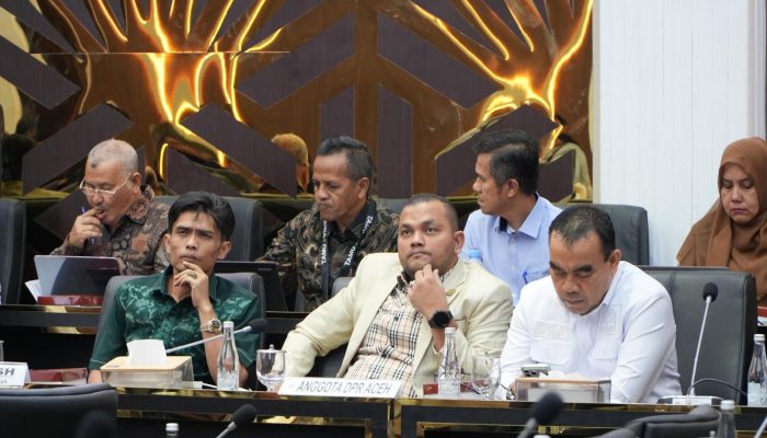 Pulang dari Jakarta, Wakil Ketua DPRA Salihin: Revisi UUPA dan Otsus Menyangkut Masa Depan Aceh