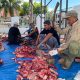 Warga Mibo Gotong Royong Potong 33 Hewan Qurban
