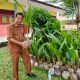 SMAN 1 Badar Terus Berbenah, Gelar Class Meeting dan Tanam 130 Kelapa Hibrida