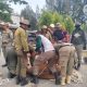 Satpol PP Aceh Jaya Amankan 30 Ternak Liar, Tekan Upaya Gangguan Ketertiban dan Kecelakaan Lalu Lintas