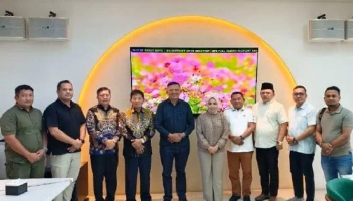Pemkab Gayo Lues Apresiasi Bantuan TKD dari Labuhanbatu