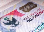 Di Tengah Ketidakpastian Global, PNBP Sektor Visa Naik 6,42 Persen pada Semester I 2026