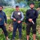 Kodam IM Berhasil Ungkap Lahan Ganja 50 Hektare di Pegunungan Nagan Raya