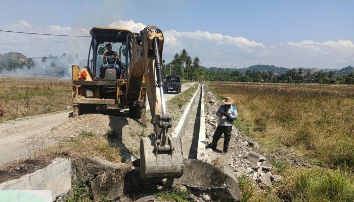 2.000 Hektar Sawah Rusak di Bireuen Selesai Direhab