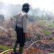 BPBD: Karhutla di Aceh Barat Meluas Menjadi 12,5 Ha di Empat Kecamatan