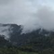 Hutan Gayo Terancam, Tata Kelola Jadi Sorotan Serius