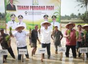 Sekda Aceh Pimpin Tanam Padi Perdana Pasca Bencana,