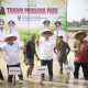 Sekda Aceh Pimpin Tanam Padi Perdana Pasca Bencana,