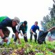 Gotong Royong Rutin, ASN Aceh Barat Bersihkan Pantai Suak Ribee