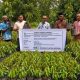 Masyarakat Dapat Bantuan Bibit Holtikultura di Aceh Jaya