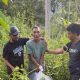 Kurir Narkoba di Aceh Ditangkap Saat COD, Ganja Diumpetin di Semak-semak