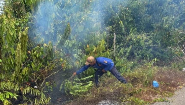 Kebakaran Lahan Blang Raya di Lhokseumawe Berhasil Dipadamkan