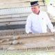 Makam Kerajaan Samudera Pasai di Aceh Utara Rusak, Bupati Janji Anggarkan Pemugaran 2027
