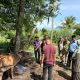 Dinas Pertanian Aceh Besar dan FKH USK Gelar Pelayanan Kesehatan Hewan di Kuta Baro