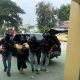 Densus 88 Tangkap 11 Tersangka Terorisme, Ada Temuan Latihan Tembak